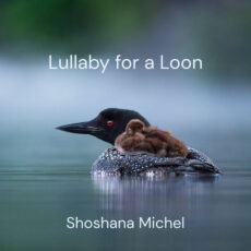 Lullaby for a Loon Shoshana Michel Shoshana Michel