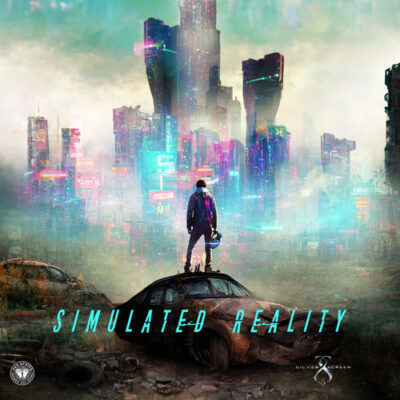 Simulated Reality Dos Brains Dos Brains