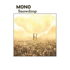 Snowdrop Mono Mono
