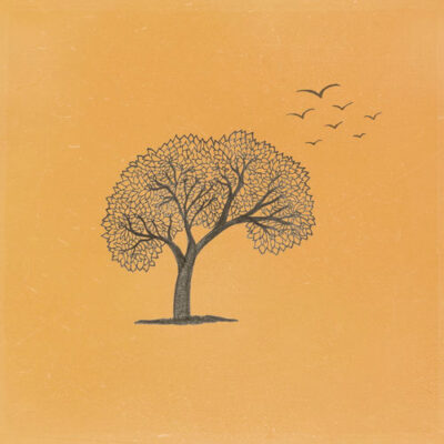 Changing Winds Andrew Gialanella Andrew Gialanella