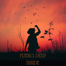 Flying deep inside Arash Haddadi Arash Haddadi