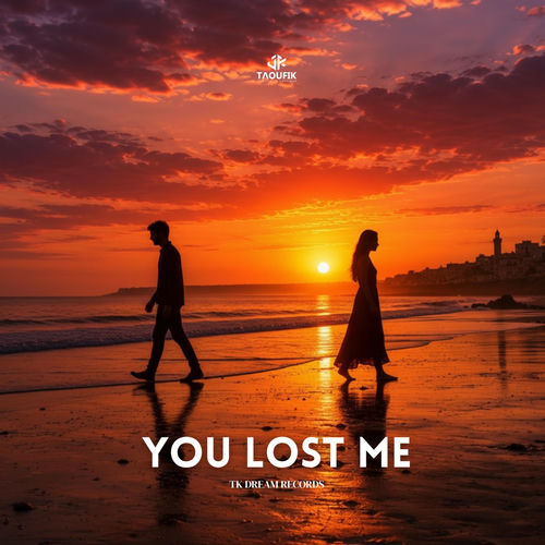 You Lost Me Taoufik Taoufik