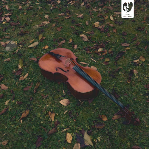 Cello Melodies HOKØ HOKØ