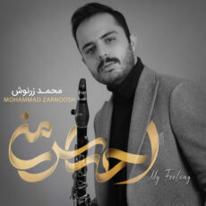 My Feeling Mohammad Zarnoosh Mohammad Zarnoosh