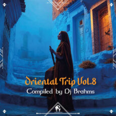 Oriental Trip, Vol. 8 Cafe De Anatolia Dj Brahms Dj Brahms, Cafe De Anatolia