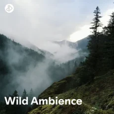 Wild Ambience