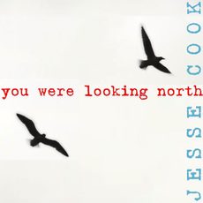 you were looking north Jesse Cook Jesse Cook