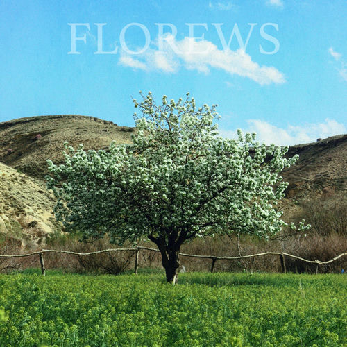 Beautiful Things - Florews