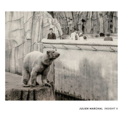 INSIGHT II - Julien Marchal