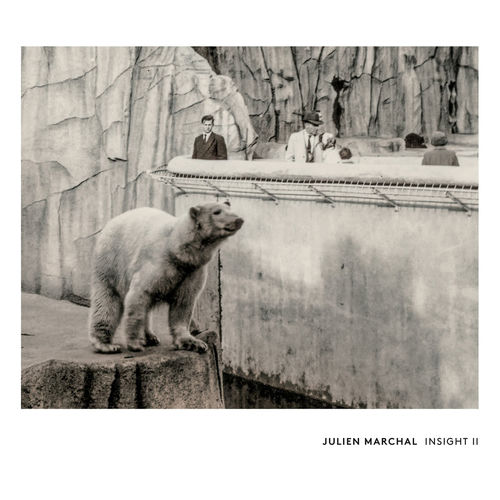 INSIGHT II - Julien Marchal