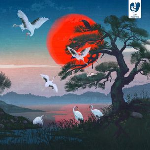 When Cranes Return karasu. karasu.