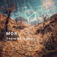 Thorn Necklace mor