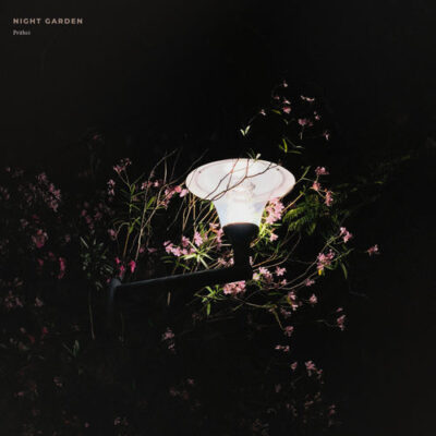 Night Garden - Prithvi