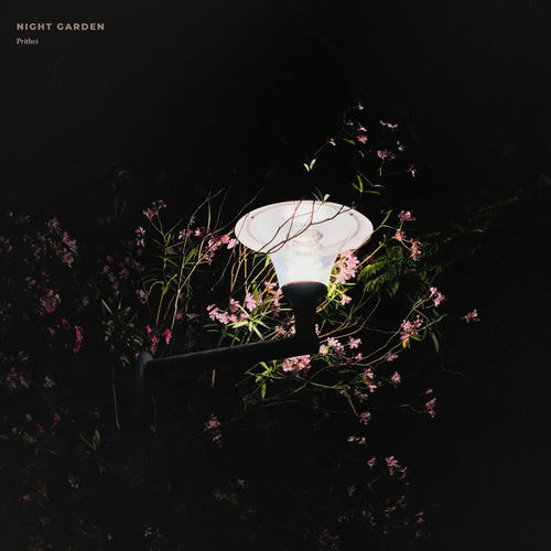Night Garden - Prithvi