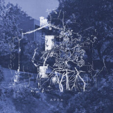 Apex - Pieter Savenberg