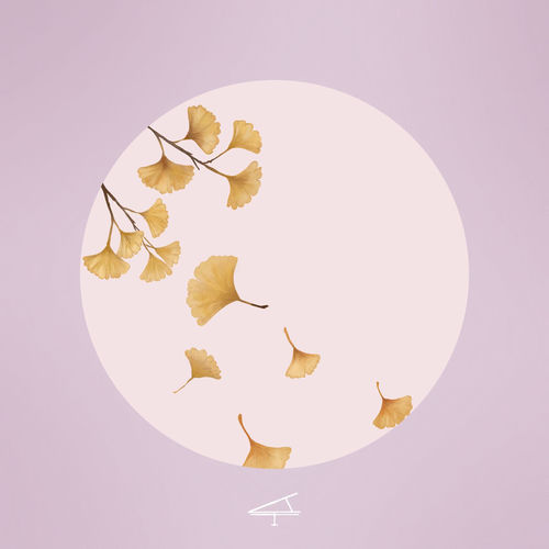Autumn Equinox - Tony Ann