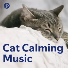 Cat Calming Music