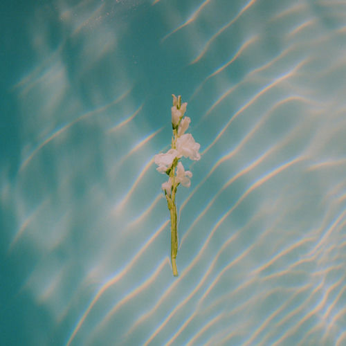 In Each Moment - Goldmund & Keith Kenniff