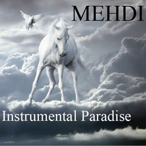Mehdi Instrumental Paradise Volume 8