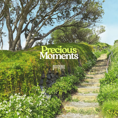 Precious Moments - Becky Ainge