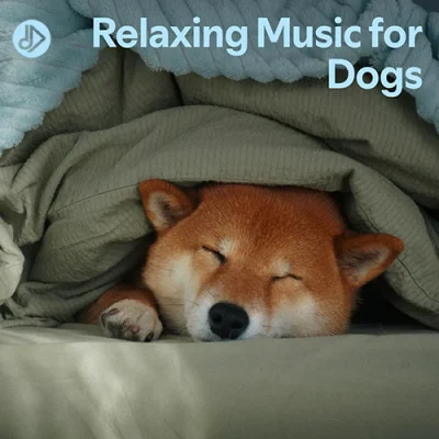 Relaxing Music for Dogs