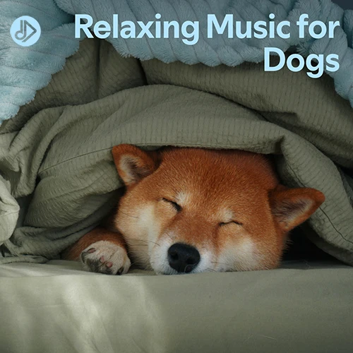 Relaxing Music for Dogs