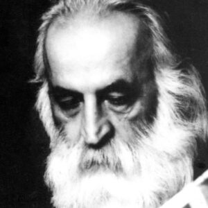 Mohammadreza Lotfi